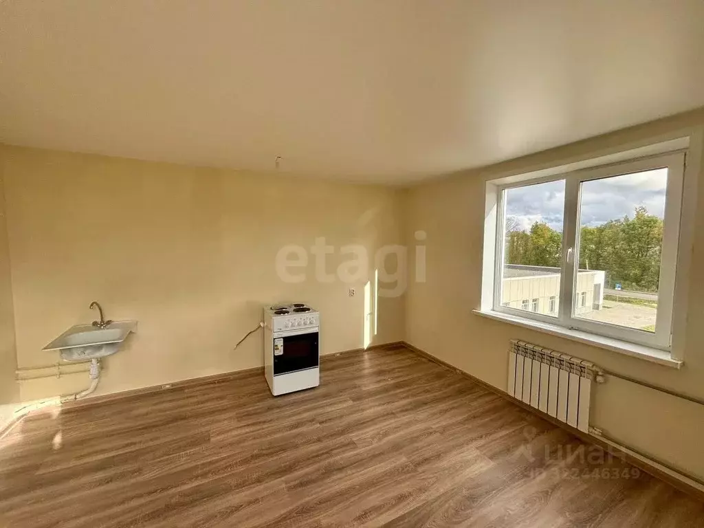 Студия Псковская область, Остров ул. Калинина, 82А (25.2 м) - Фото 1