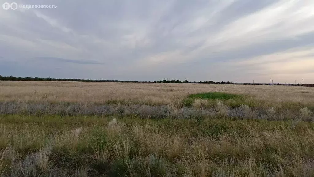 Участок в Волгоград, территория село Песчанка (8.25 м) - Фото 1