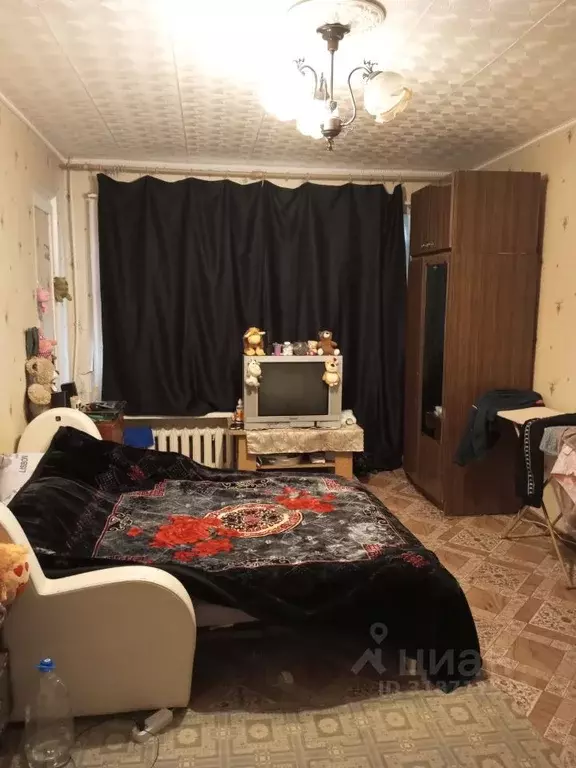 3-к кв. Самарская область, Чапаевск ул. Калинина, 31 (58.7 м) - Фото 0