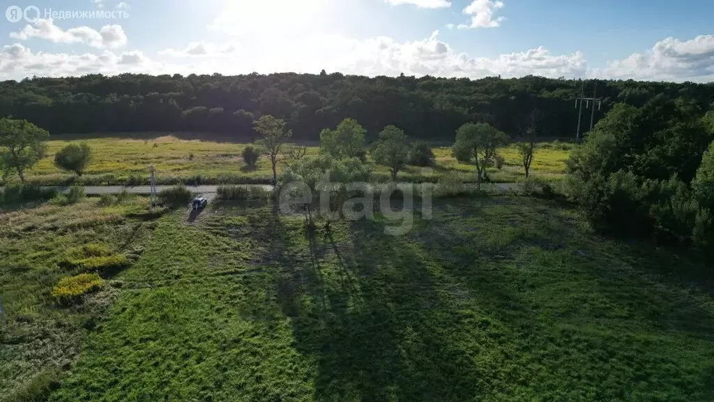 Участок в Калининградская область, Гурьевский муниципальный округ, ... - Фото 2