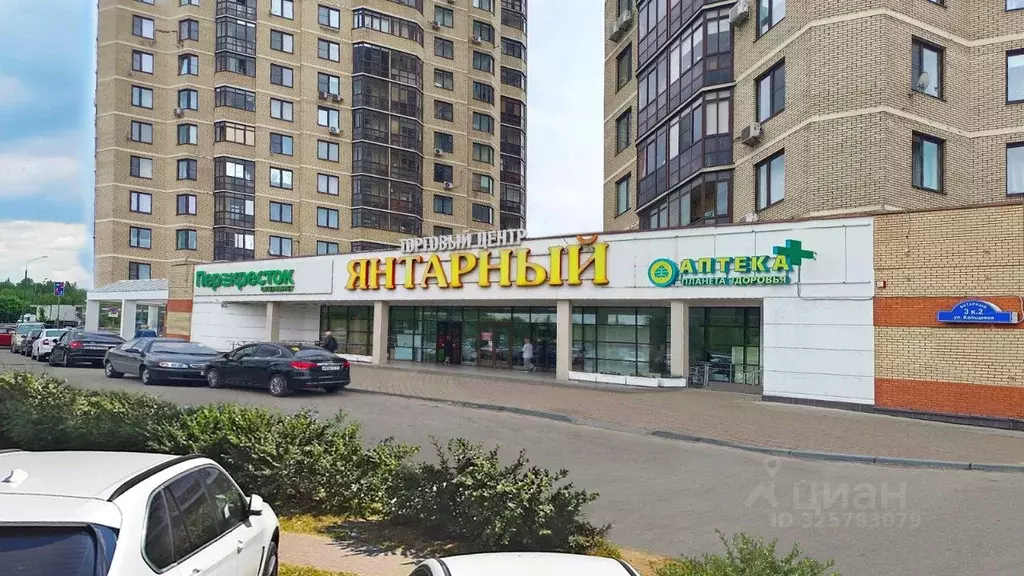 Торговая площадь в Московская область, Балашиха Янтарный мкр, ул. ... - Фото 1