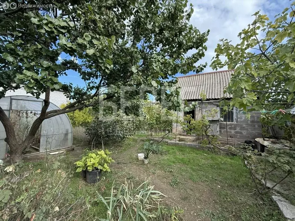 Участок в Севастополь, садоводческое товарищество Слип, 169 (4 м) - Фото 2