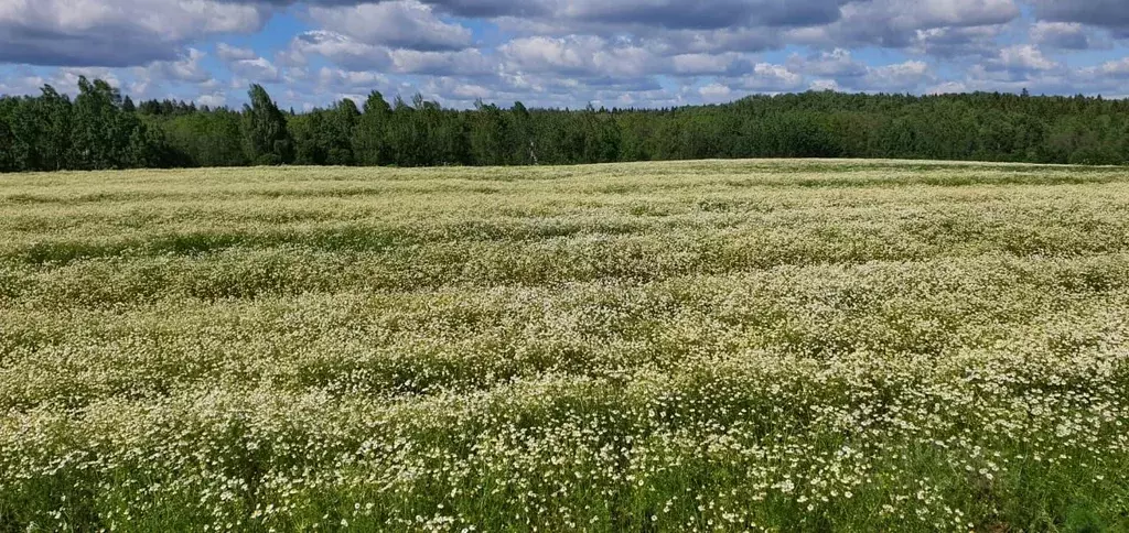 Участок в Московская область, Ступино городской округ, д. Марьинское  ... - Фото 0