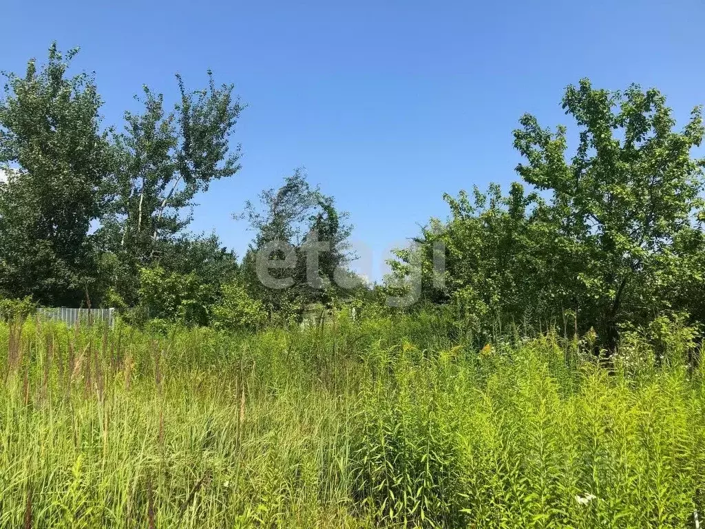 участок в брянская область, брянск садовод садовое общество, (4.0 . - Фото 0