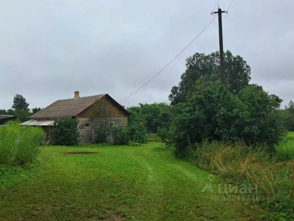 Дом в Псковская область, Опочецкий муниципальный округ, д. Большие ... - Фото 1
