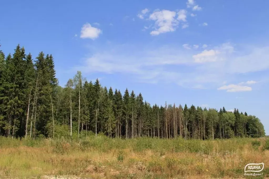 Участок в Калужская область, Малоярославецкий муниципальный округ, с. ... - Фото 2