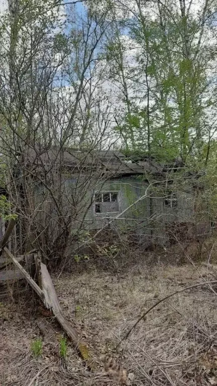 Участок в Амурская область, Свободный  (9.99 сот.) - Фото 1