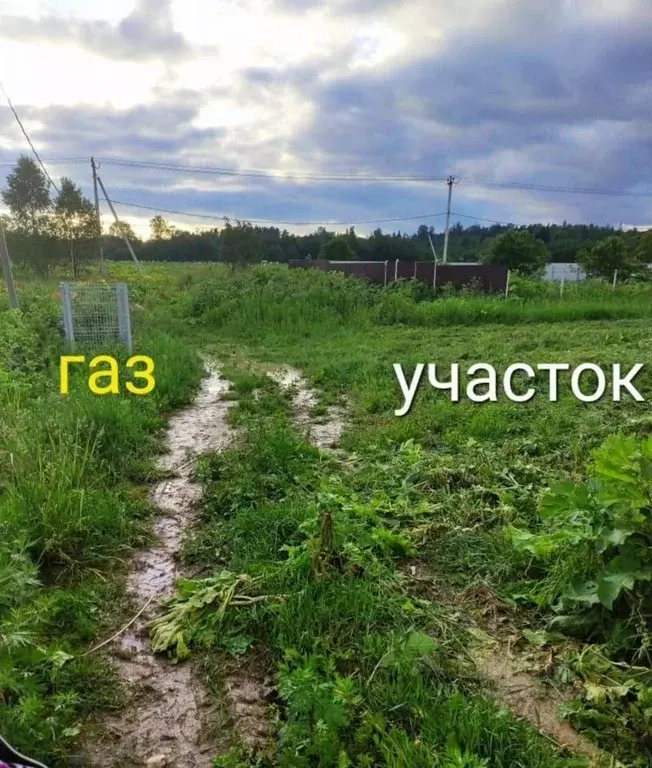 Участок в Московская область, Рузский муниципальный округ, д. Нижнее ... - Фото 1