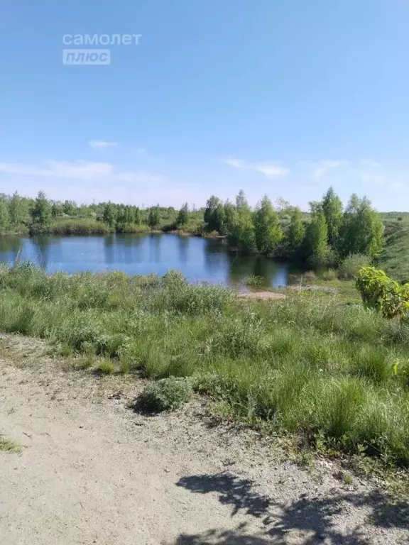 Участок в Челябинская область, Челябинск Старо-Смолинский Каменный ... - Фото 0