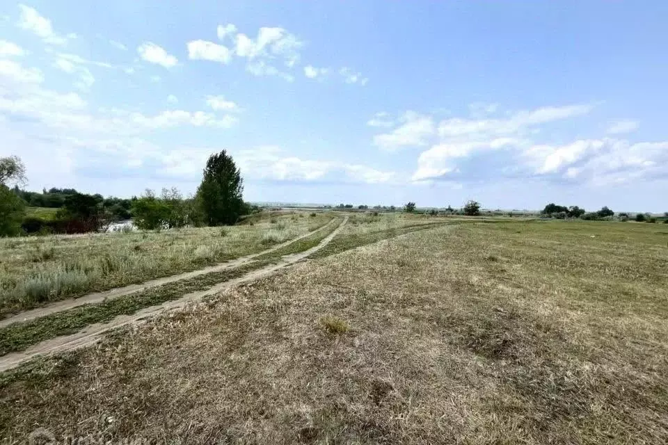 Участок в Саратовская область, Энгельсский район, Красноярское ... - Фото 2
