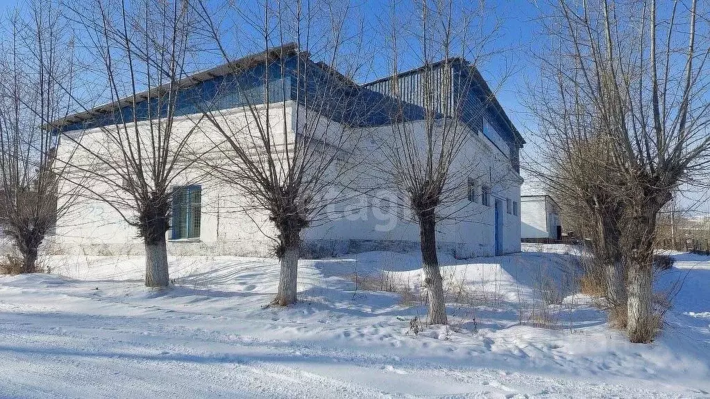 Офис в Забайкальский край, Шилкинский район, Первомайский пгт ул. ... - Фото 1