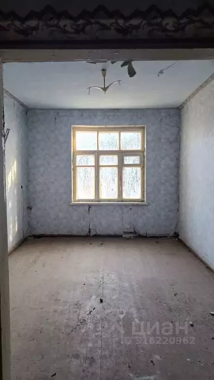 Помещение свободного назначения в Краснодарский край, Курганинский ... - Фото 1
