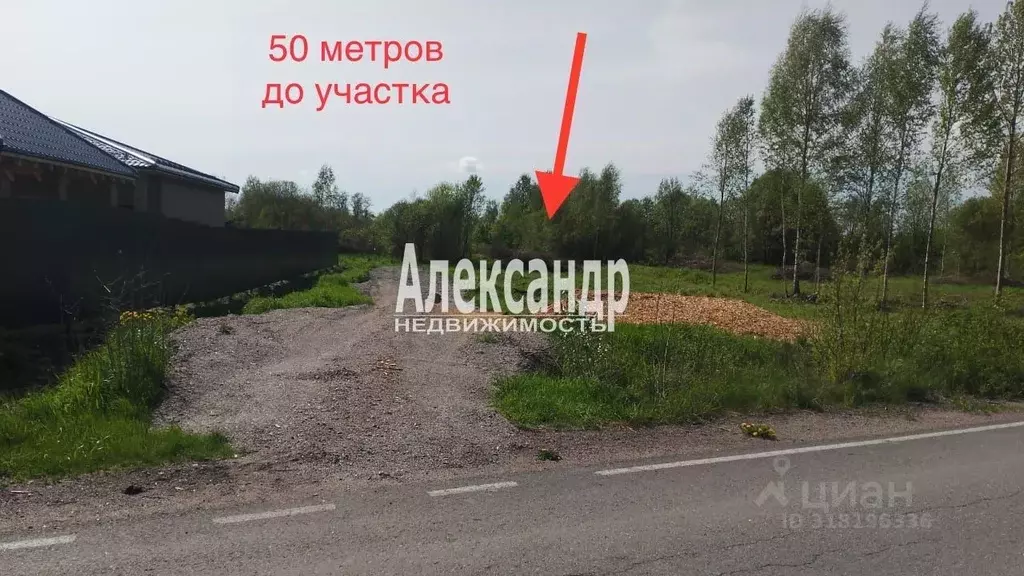 Участок в Ленинградская область, Приозерский район, Ромашкинское ... - Фото 1