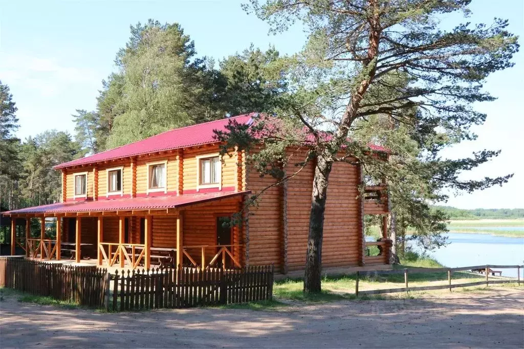 Дом в Псковская область, Гдов  (32 м) - Фото 1