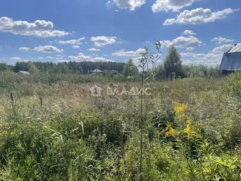 Участок в Московская область, Раменский муниципальный округ, Старая ... - Фото 2