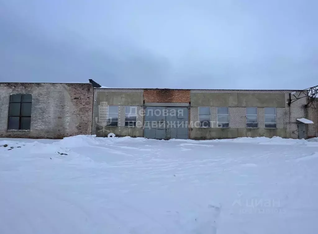 Склад в Новгородская область, Новгородский район, Панковское городское ... - Фото 1