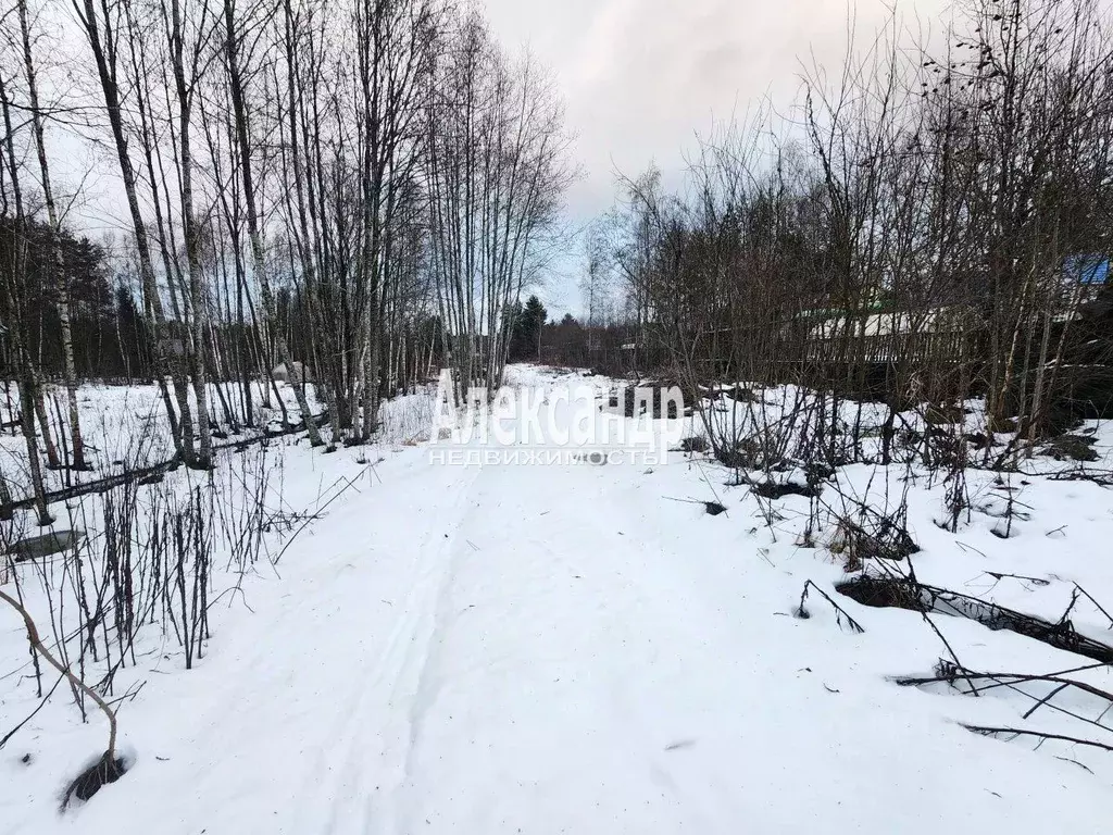 Участок в Ленинградская область, Приозерский район, Ларионовское ... - Фото 0