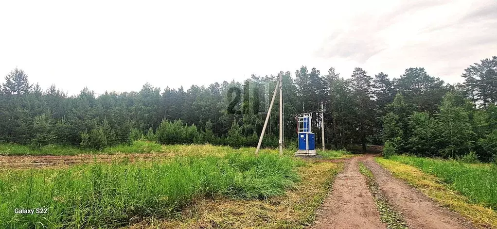 Участок в Свердловская область, Белоярский муниципальный округ, Чистые ... - Фото 2