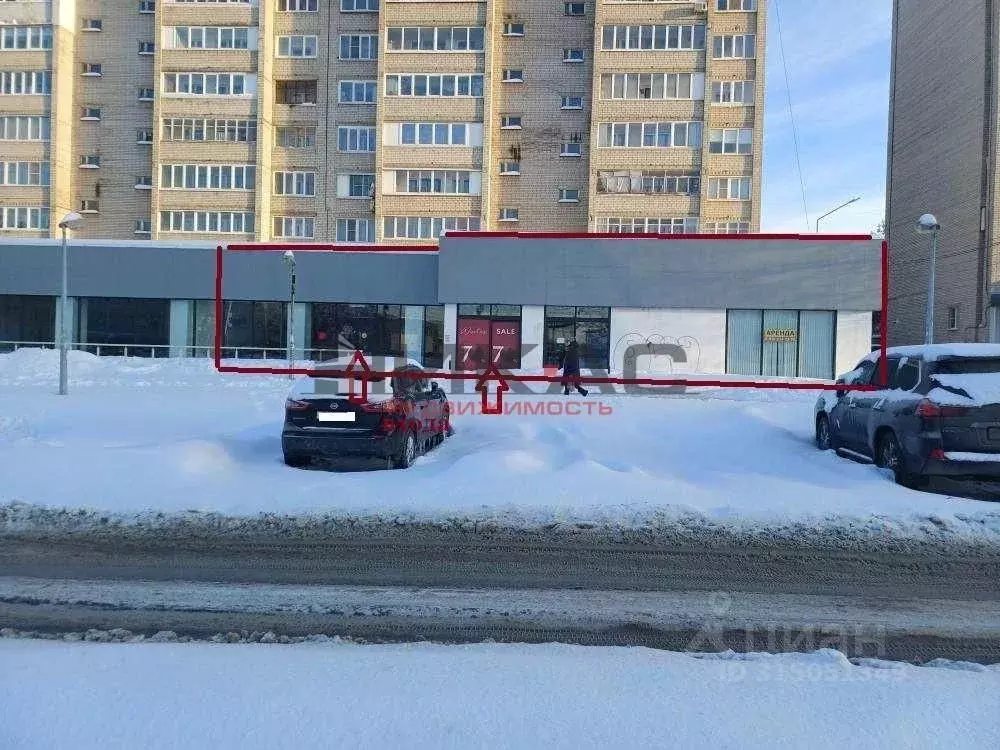 Торговая площадь в Ярославская область, Ярославль Московский просп., ... - Фото 1