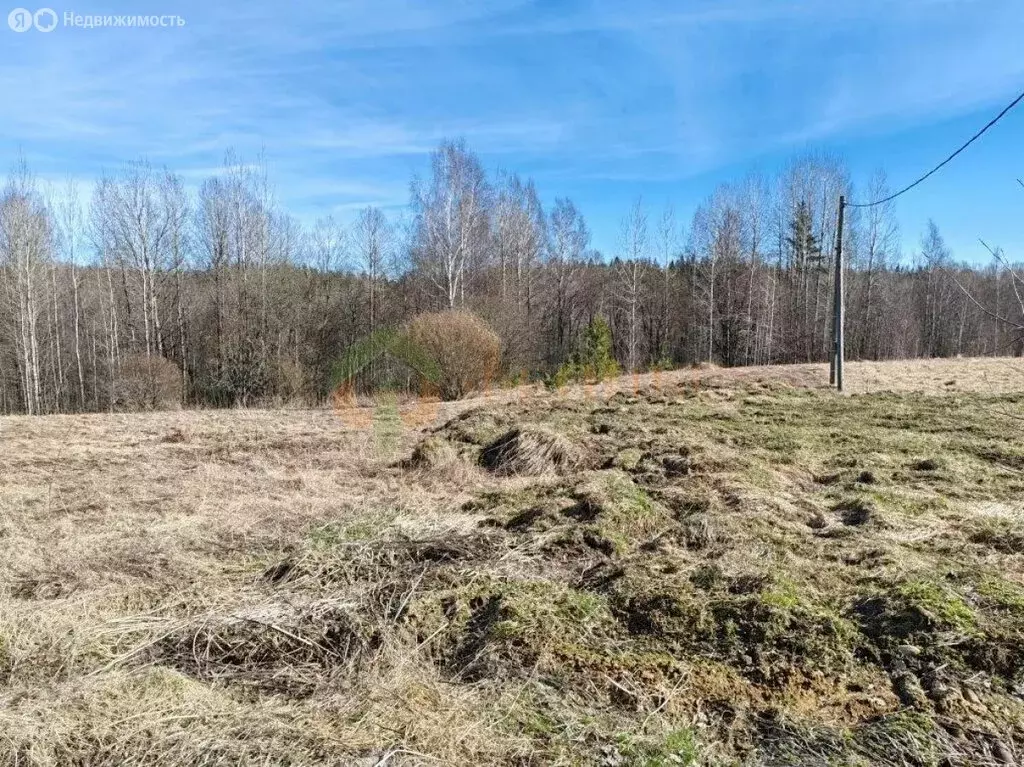 Участок в деревня Васильево, Весенняя улица, 16 (30 м) - Фото 2