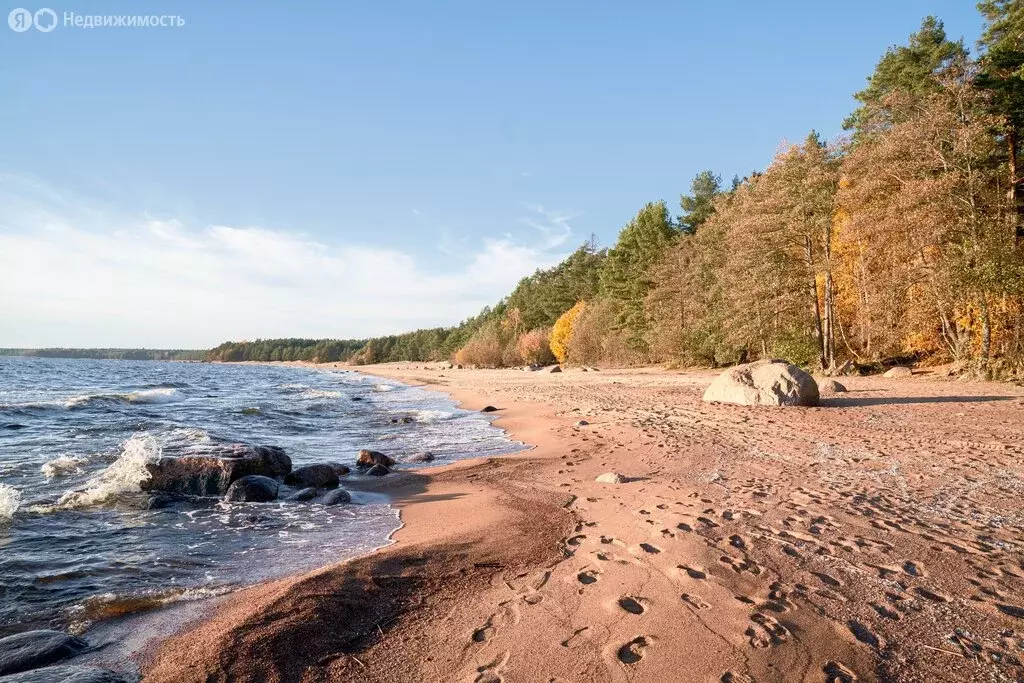 Участок в Выборгский район, Полянское сельское поселение, КП Уют у ... - Фото 2