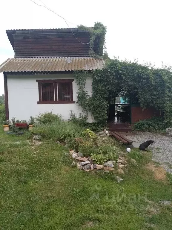 Дом в Алтайский край, Алтайский район, Айский сельсовет, с. Ая ул. ... - Фото 0