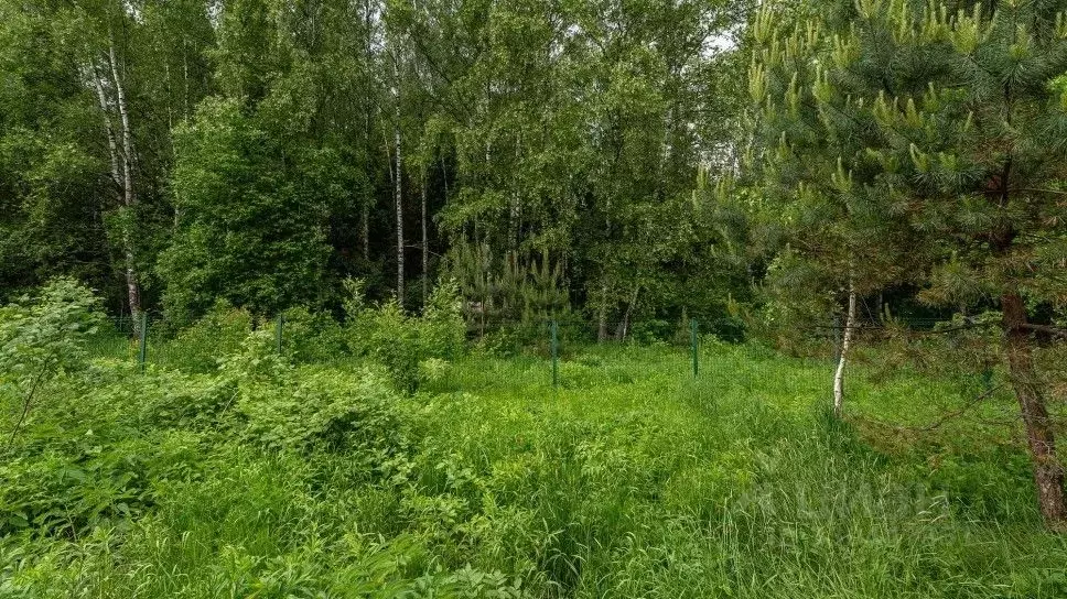 Участок в Московская область, Красногорск городской округ, д. ... - Фото 1