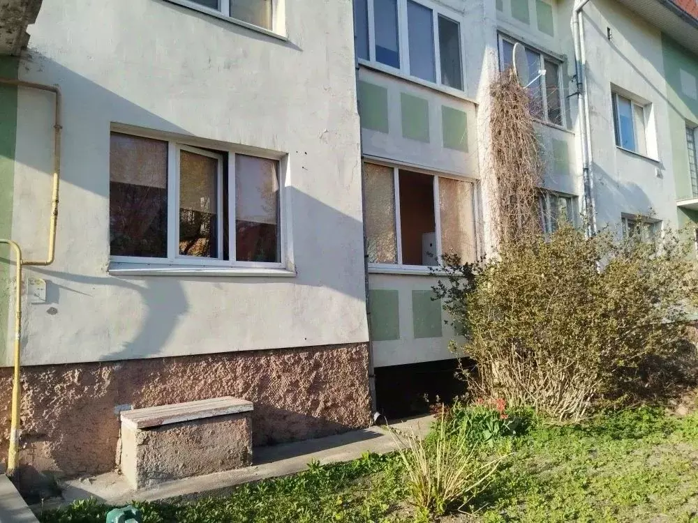 Комната Калининградская область, Гурьевский муниципальный округ, пос. ... - Фото 1