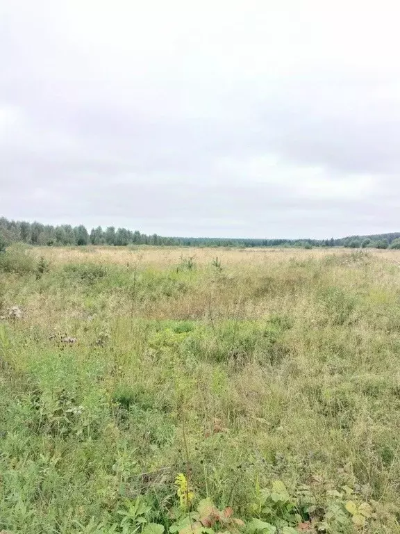 Участок в Свердловская область, Первоуральск городской округ, пос. ... - Фото 0