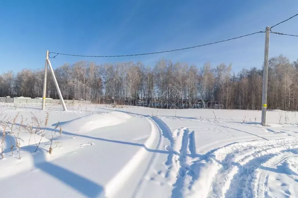 Участок в Тюменская область, Тюменский муниципальный округ, ... - Фото 2