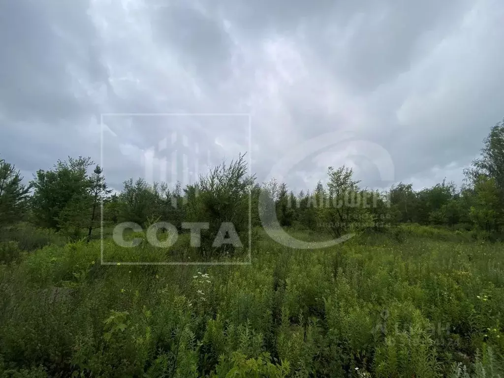 Участок в Воронежская область, Новоусманский район, с. Бабяково ул. ... - Фото 0
