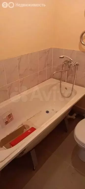 1-комнатная квартира: Саратов, Брянская улица, 16 (24.4 м) - Фото 1