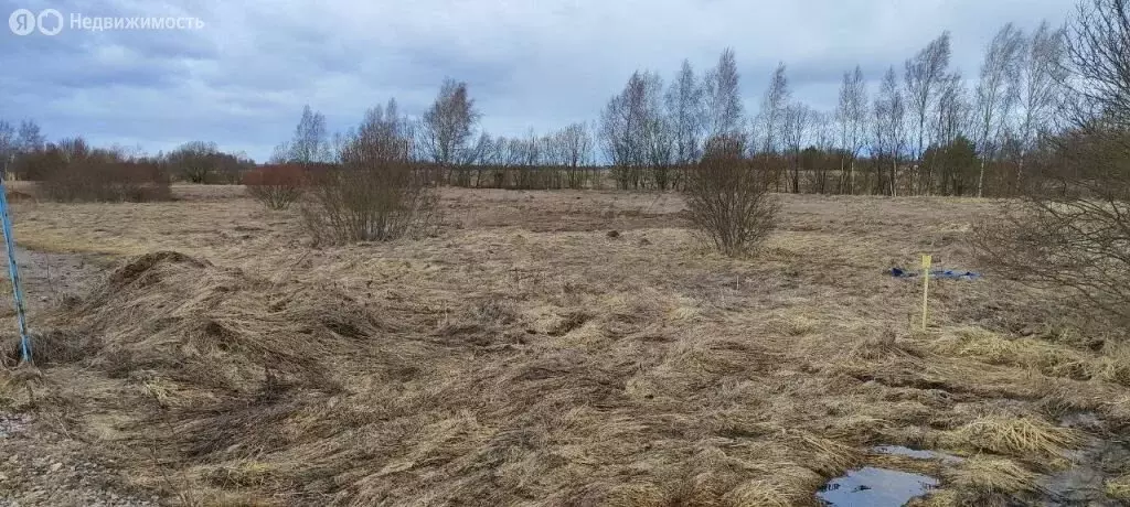 Участок в Тверская область, Калининский муниципальный округ, деревня ... - Фото 0