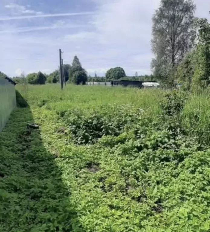 Дом в Новгородская область, Новгородский район, Пролетарское городское ... - Фото 2
