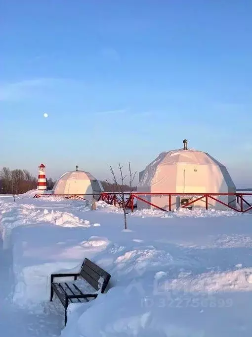 Дом в Пензенская область, Кузнецкий район, с. Махалино, Массив жилых ... - Фото 1
