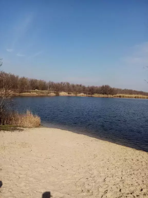 Участок в Ростовская область, Аксайский район, Большелогское с/пос, ... - Фото 2