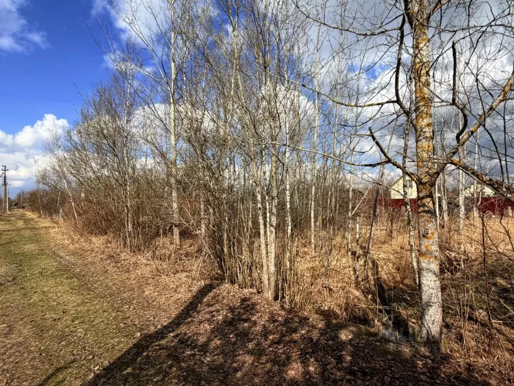 Участок в Ленинградская область, Тосненский район, Трубникоборское ... - Фото 1