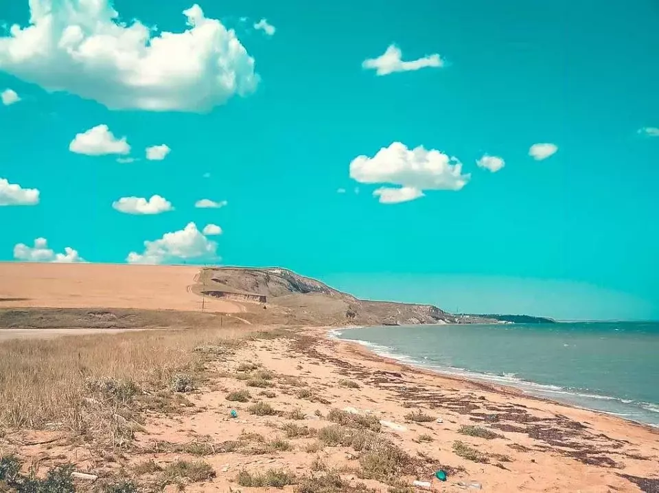 Участок в Крым, Ленинский район, Заветненское с/пос, с. Заветное ул. ... - Фото 1