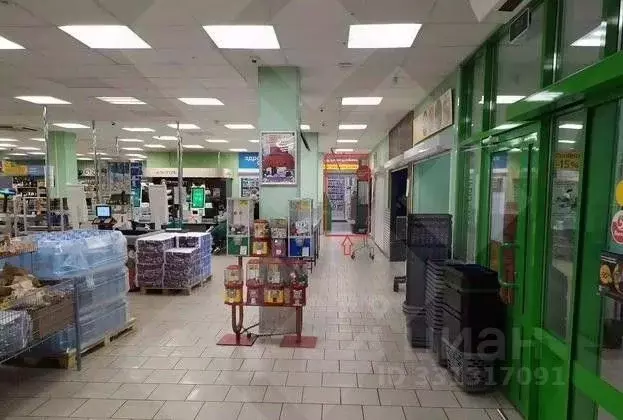 Помещение свободного назначения в Москва Борисовский проезд, 40А (250 ... - Фото 2