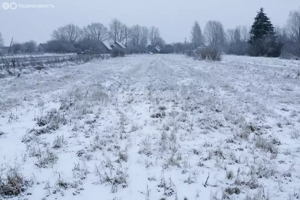 Участок в Ярославская область, рабочий посёлок Некрасовское (12 м) - Фото 2