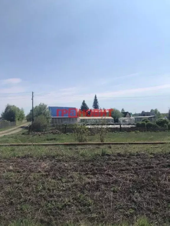 Участок в Новосибирская область, Коченевский район, Ветеран-1 ДНТ 665 ... - Фото 0
