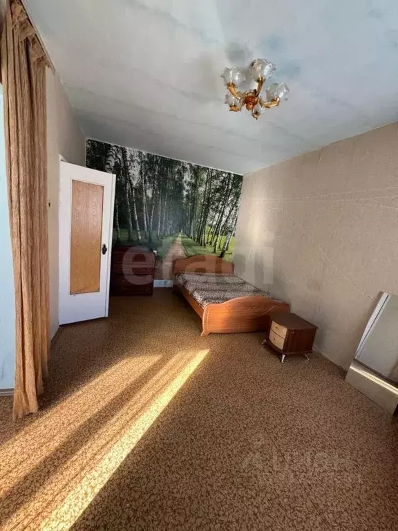 1-к кв. Амурская область, Шимановск 1-й мкр, 17 (41.8 м) - Фото 1