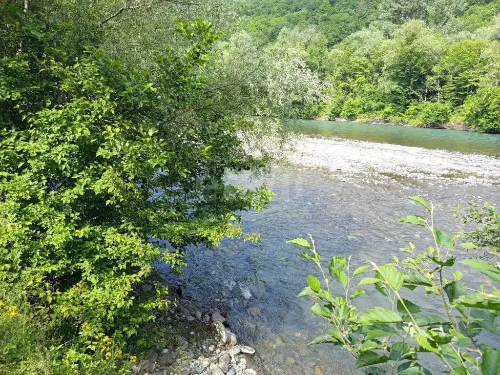 Участок в Адыгея, Майкопский район, Даховское с/пос, с. Хамышки ул. ... - Фото 1