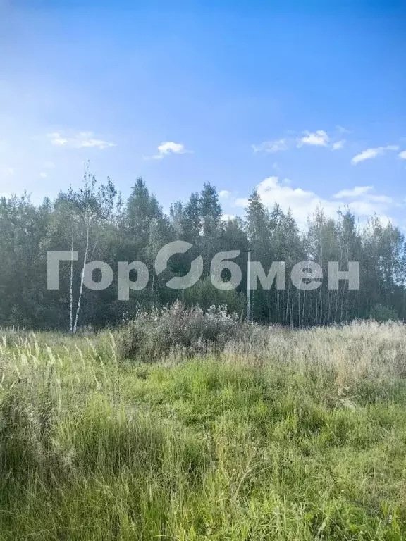Продается участок в ДНТ Шубино - Фото 1
