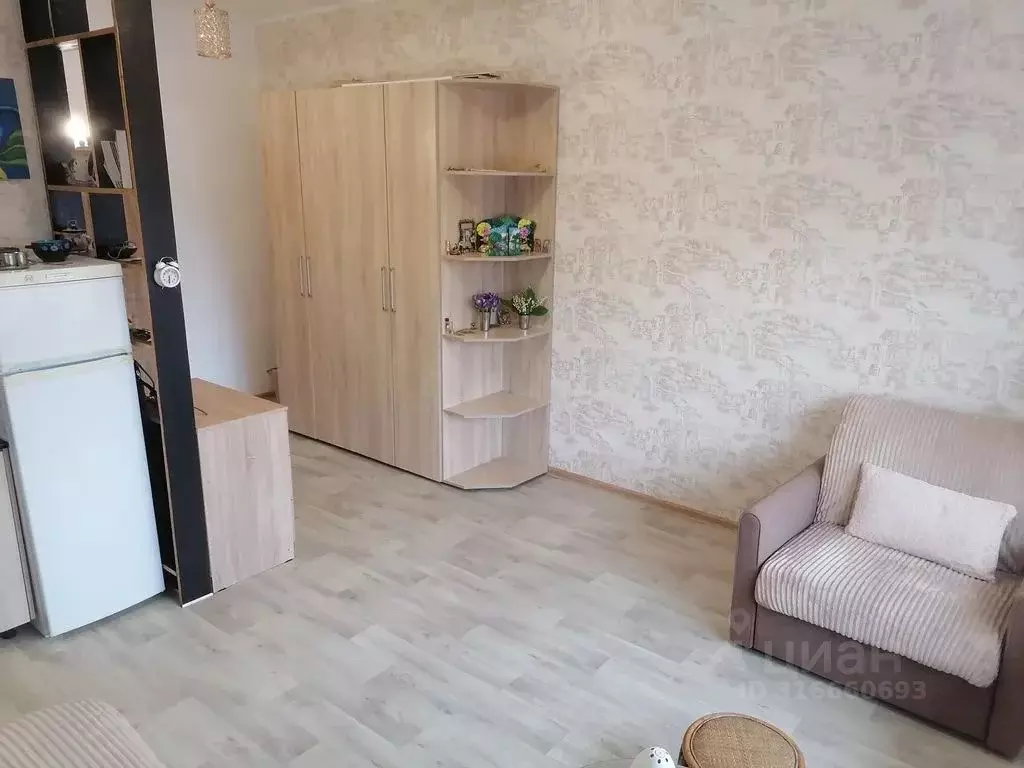 1-к кв. Краснодарский край, Сочи ул. Ручей Видный, 66 (25.0 м) - Фото 0