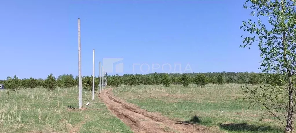 Участок в Алтайский край, Первомайский район, с. Фирсово, Рощино мкр ... - Фото 0