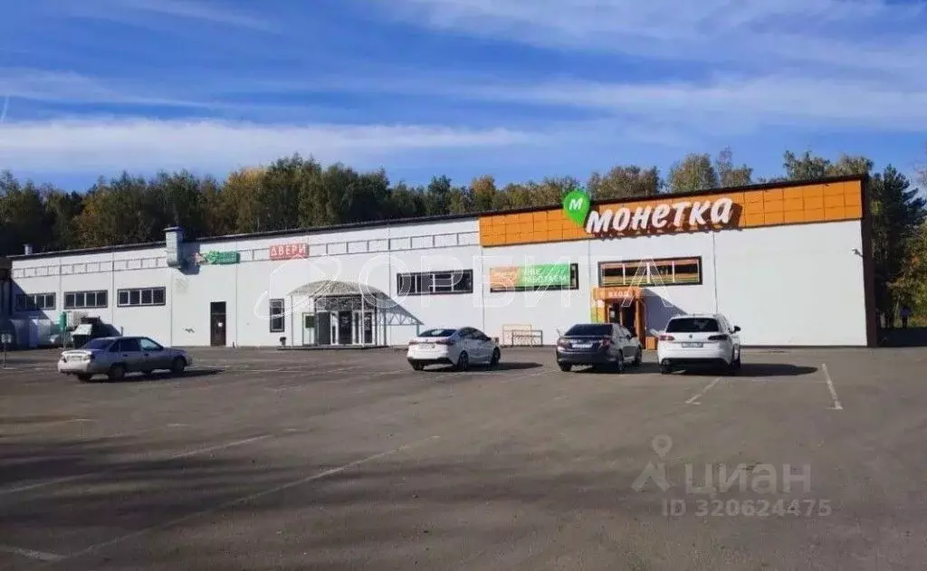Помещение свободного назначения в Тюменская область, Тюмень ул. ... - Фото 0
