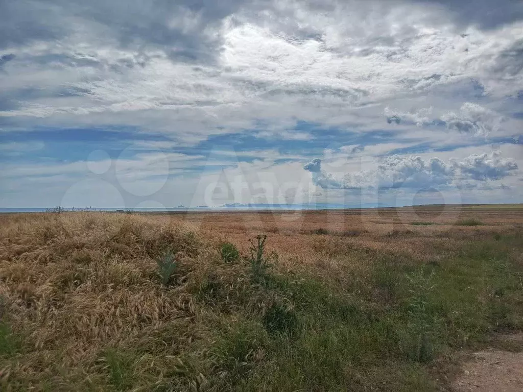 Участок 1 га (СНТ, ДНП) - Фото 0