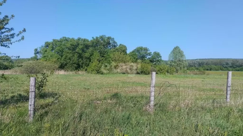 Участок в Белгородская область, Белгородский район, Пушкарское с/пос, ... - Фото 1