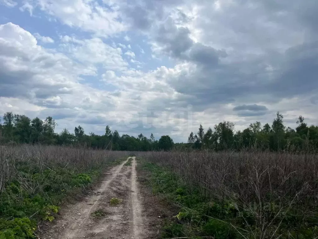 Участок в Тульская область, Тула городской округ, д. Натальинка  ... - Фото 1
